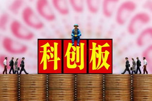科創(chuàng)板交易規(guī)則解讀 無T+0、50萬門檻與信息咨詢